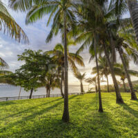 Les Jardins de Surya