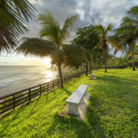 Les Jardins de Surya