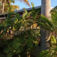 Les Jardins de Surya