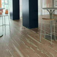 Maison des Entreprises