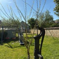 Domaine du Vieux Moulin