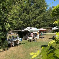 Domaine du Vieux Moulin