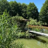 Domaine du Vieux Moulin