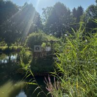 Domaine du Vieux Moulin