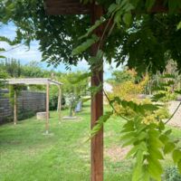 Domaine du Vieux Moulin