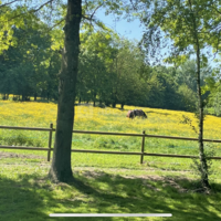 Domaine le Moulin du Bois