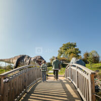 Paléopolis la Colline Aux Dinosaures