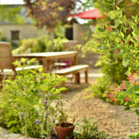 Domaine de Lestroué