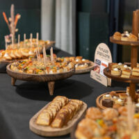 Minutes Papillons Vannes