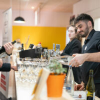 Minutes Papillons Vannes