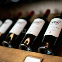 Château Fleur de Lisse - Vignobles Jade