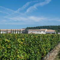 Château Fleur de Lisse - Vignobles Jade