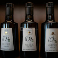 Château Fleur de Lisse - Vignobles Jade