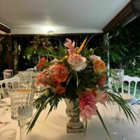 Le Jardin D'Oliviers