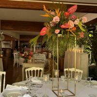 Le Jardin D'Oliviers