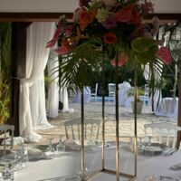 Le Jardin D'Oliviers