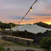 Guinguette - la Blanche Hermine