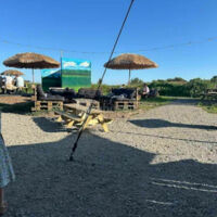 Guinguette - la Blanche Hermine