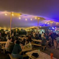 Guinguette - la Blanche Hermine