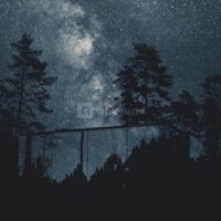 BonjourSauvage Seignosse