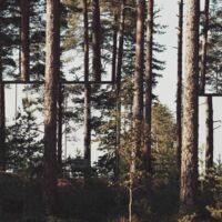 BonjourSauvage Seignosse