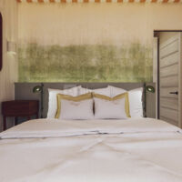 BonjourSauvage Seignosse