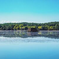 Bonjoursauvage Seignosse