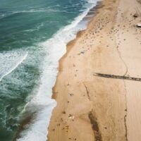 Bonjoursauvage Seignosse