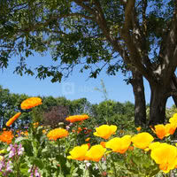 Coté jardin