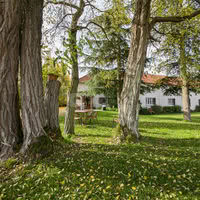 Salle des Acacias