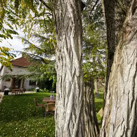 Salle des Acacias