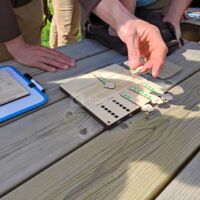 Les Voix de la Nature