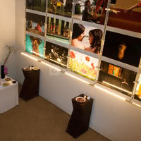 Club lincoln - jardin d'hiver (3)