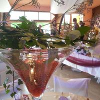 Domaine de Lacaud
