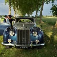 Fiancée dans l'allée de platanes