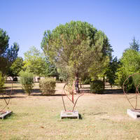 Château la Commanderie