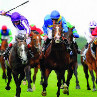 Les Hippodromes de Lyon - Hippodrome de Bron Parilly
