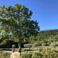 Domaine du Petit Nans