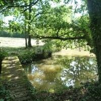 Domaine d'Orient