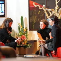 Zenia Hôtel & Spa
