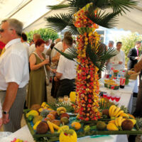Palmier de brochettes de fruits