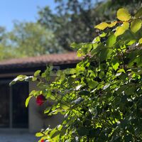 Domaine de la Fosseille
