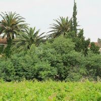 Domaine de la Fosseille