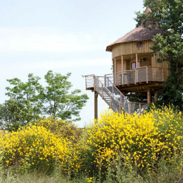 Les maisons dans  les branches