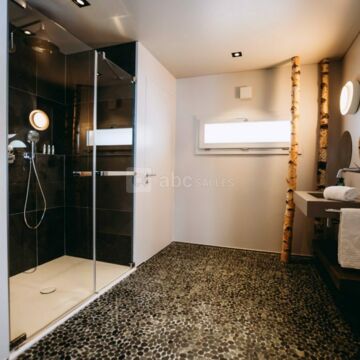 Suite Forest