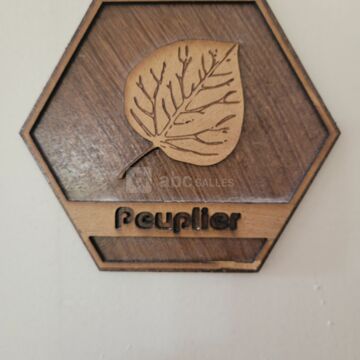 Grenier (2ème étage)