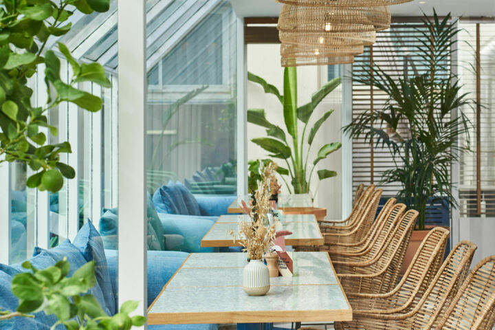 Chromatics by HappyCulture