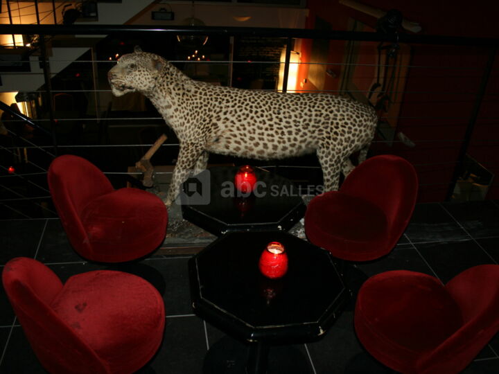 Le Loft Jardin Secret