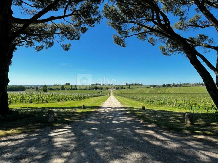 Château Saint Georges