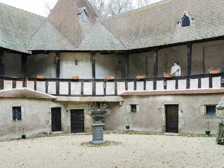 Château de la Mothe de Vicq